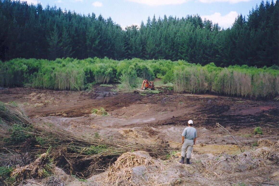 Weeds being cleared in 1999