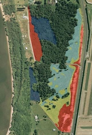 Indigenous revegetation zones based on soil moisture (red: well-drained; yellow: damp; light blue: wetland; dark blue: mosaic of wetland and well-drained)