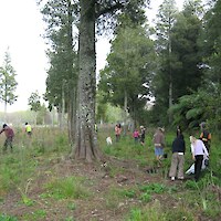 Planting day with Rotokawa School (September 2007)