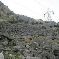 The rock pile below the ridge provides habitat for lizards