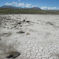 Large saline tarn, showing darker patches of indigenous turf vegetation on the dried out surface