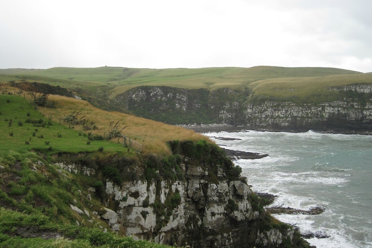 Steep coastal cliffs at Long Point-Irahuka